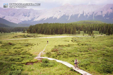 Prairie Creek Trail Alberta