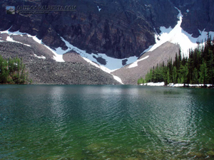 Arnica Lake Banff Alberta
